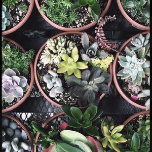 Meet your Posher, Jocelyne